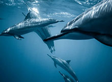 开云体育官网-王思雨女篮热身赛集锦回顾，全场得到21分3板1助